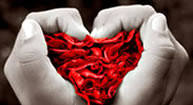 Concurso de Poesia 2010